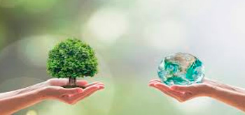 CALIDAD Y MEDIO AMBIENTE